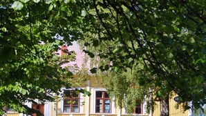 Uklassifisert bilde, 2 av 32, knapp