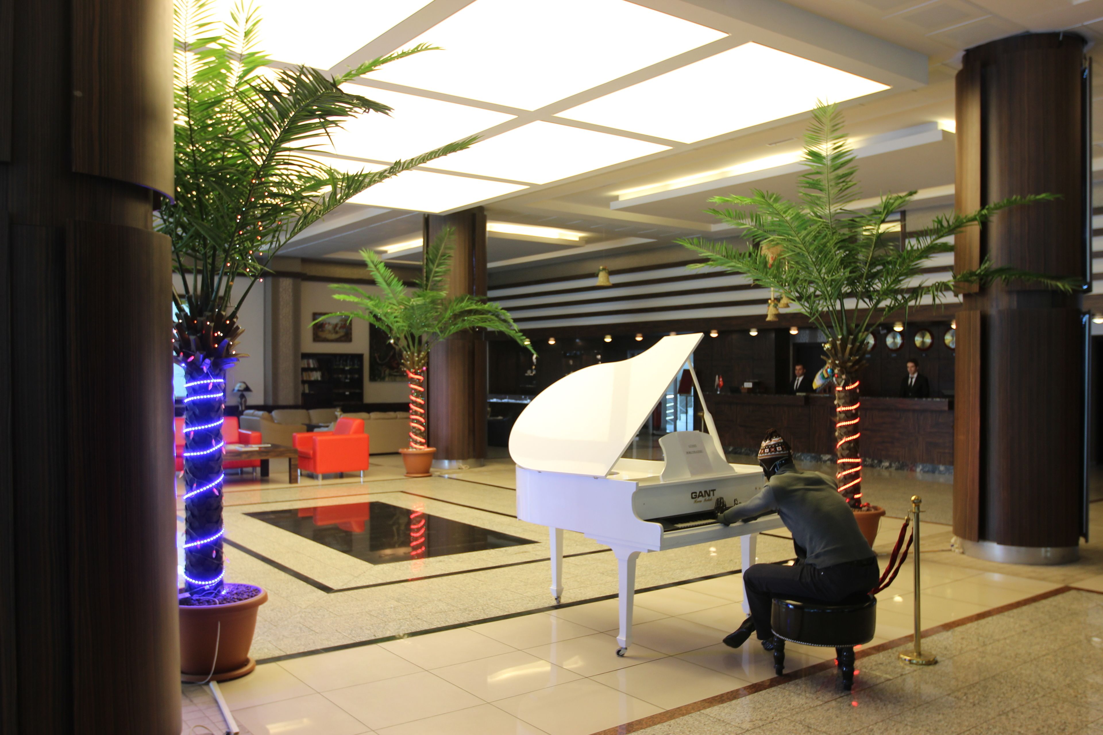 Un piano de cola en un vestíbulo con plantas en macetas y una recepción.