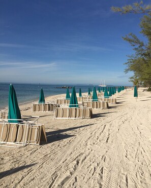 A beach with rows of sun loungers and umbrellas, a clear sky, and a calm sea.