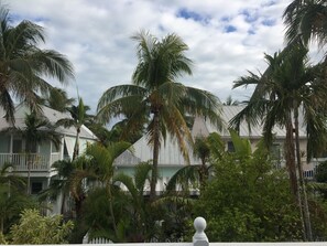 A coastal property with multiple-story buildings, surrounded by lush palm trees and a white fence.