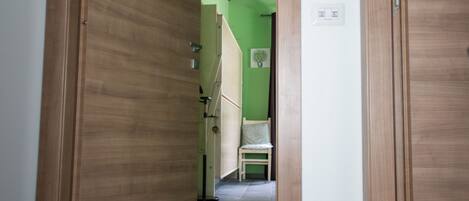 A hallway with wooden doors and a green wall.