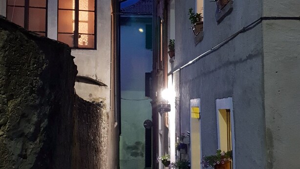 Un callejón estrecho flanqueado por edificios, algunos con plantas en macetas.