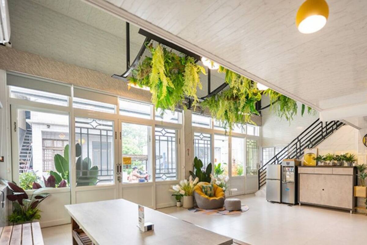 A spacious room with a large window, a staircase, and hanging plants.