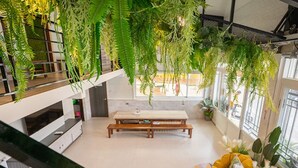 Un intérieur moderne agrémenté de plantes suspendues, d’un banc central et de grandes fenêtres.