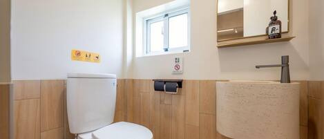 A modern bathroom with a toilet, sink, and mirror.