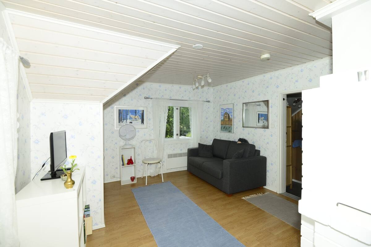 A compact living space with a grey sofa, a white entertainment unit, and a blue rug.