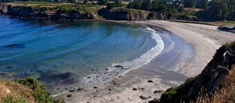 Bird Lover's Paradise ~ Meadowlark House on Mendocino Coast Nature Sanctuary