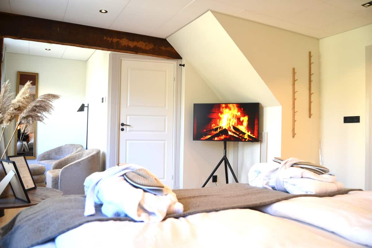 A bedroom with a TV on a tripod, a bed with towels, a mirror, and a door.