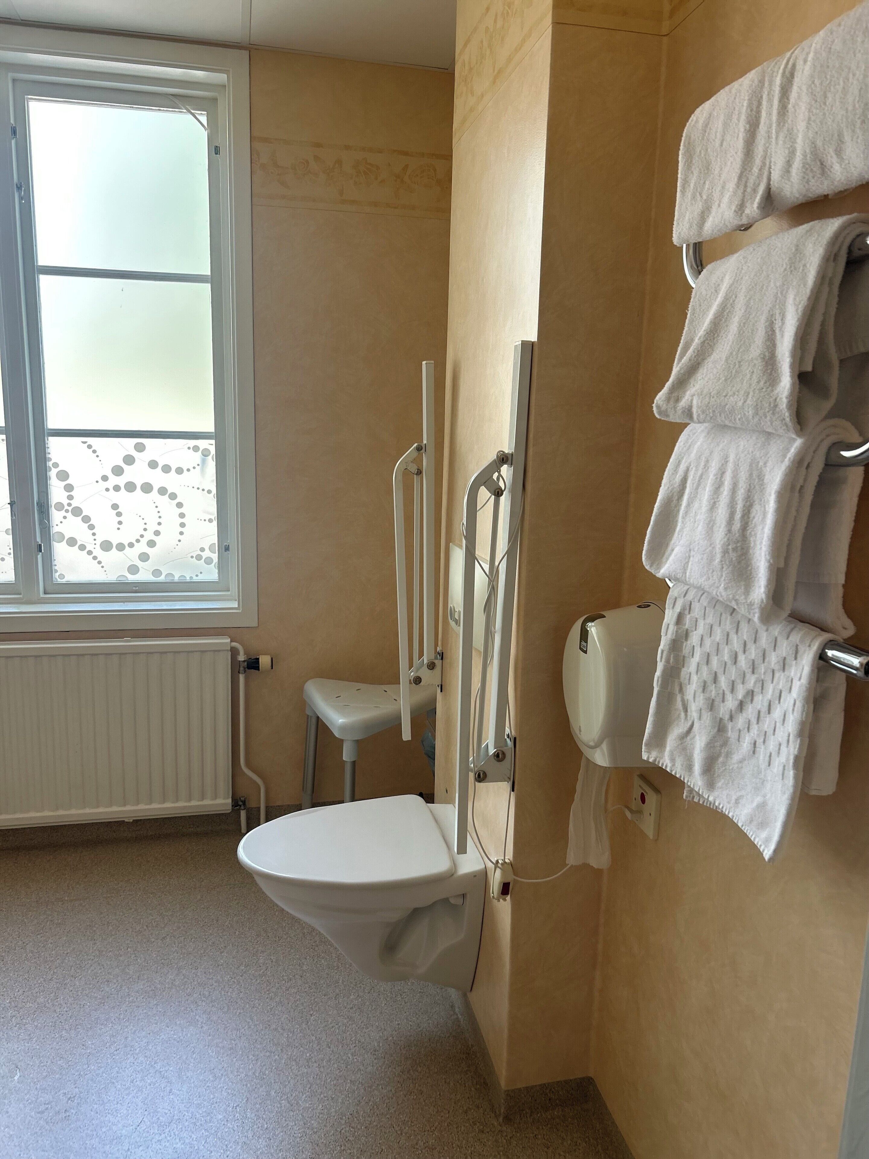 double room, private bathroom (hotel) | bathroom | shower, free toiletries, hair dryer, slippers
