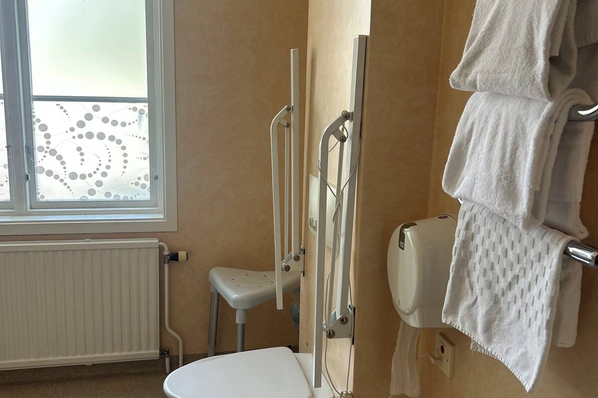 double room, private bathroom (hotel) | bathroom | shower, free toiletries, hair dryer, slippers