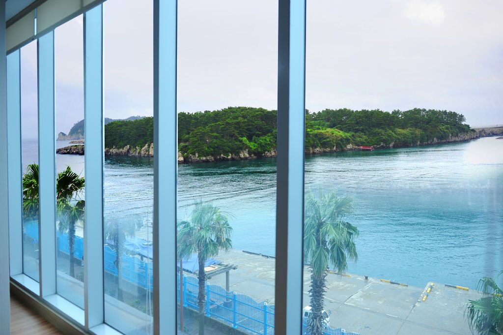 Family Studio Suite | View from room