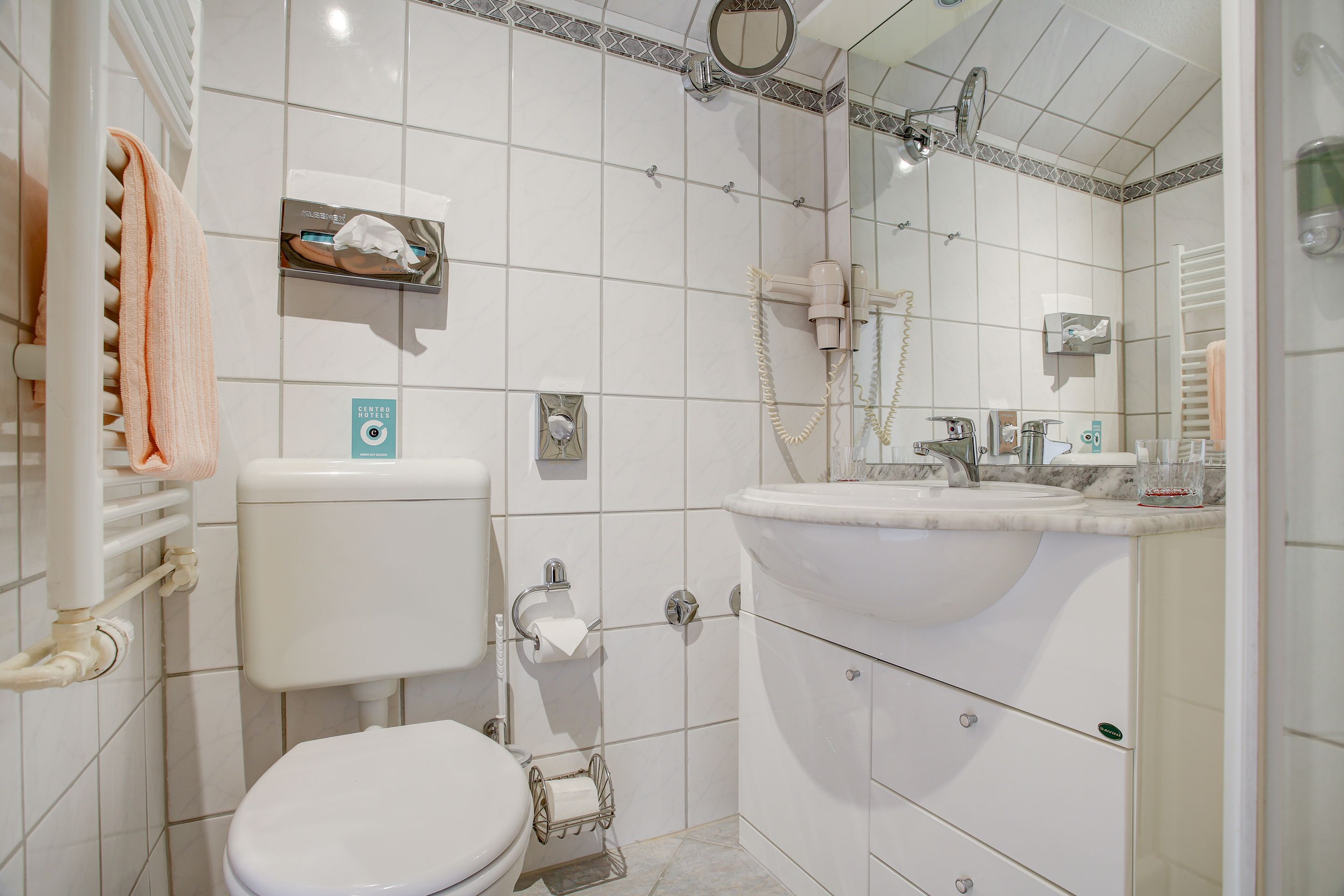 Une salle de bain avec des toilettes, un lavabo et une douche.