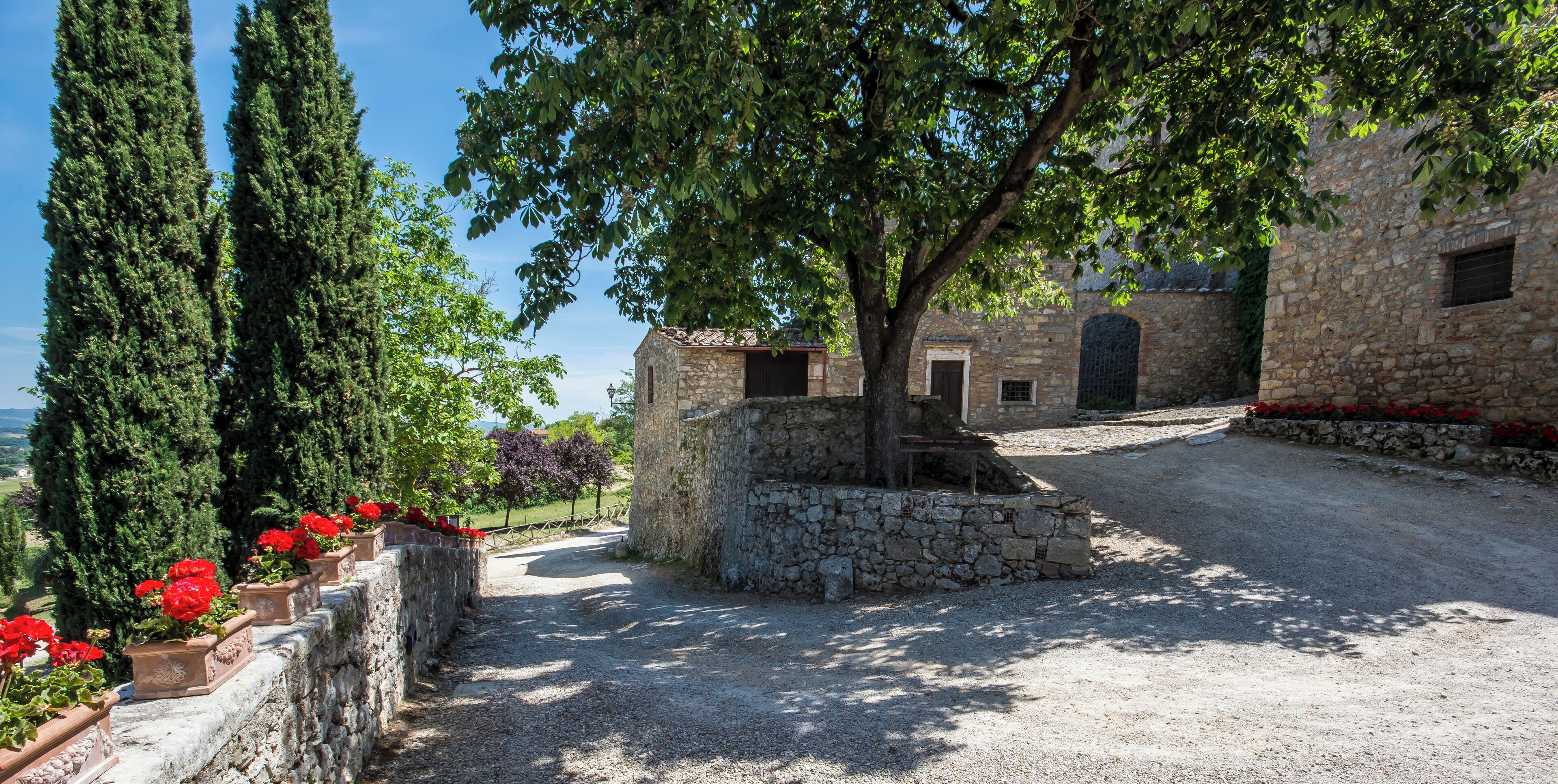A stone building with a gravel path leading to a wooden door, surrounded by tall cypress trees and red flowers.