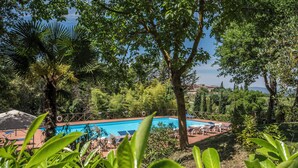Une piscine entourée d’une végétation luxuriante et d’arbres, offrant une vue dégagée sur le paysage environnant.