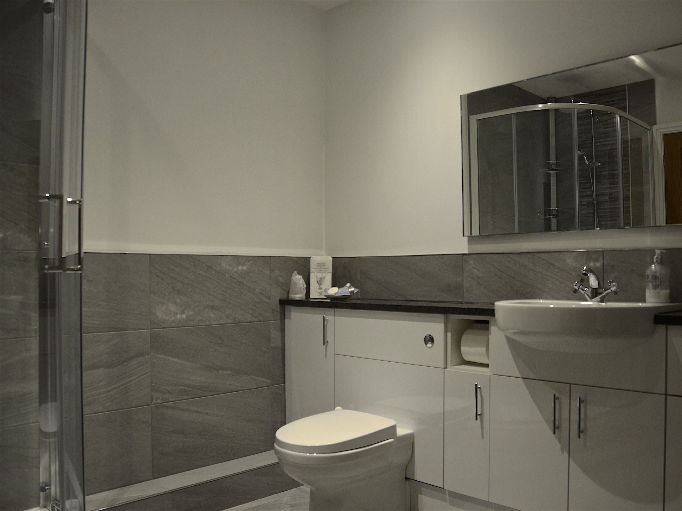 A modern bathroom with a glass shower enclosure, a toilet, and a sink with a mirror above.