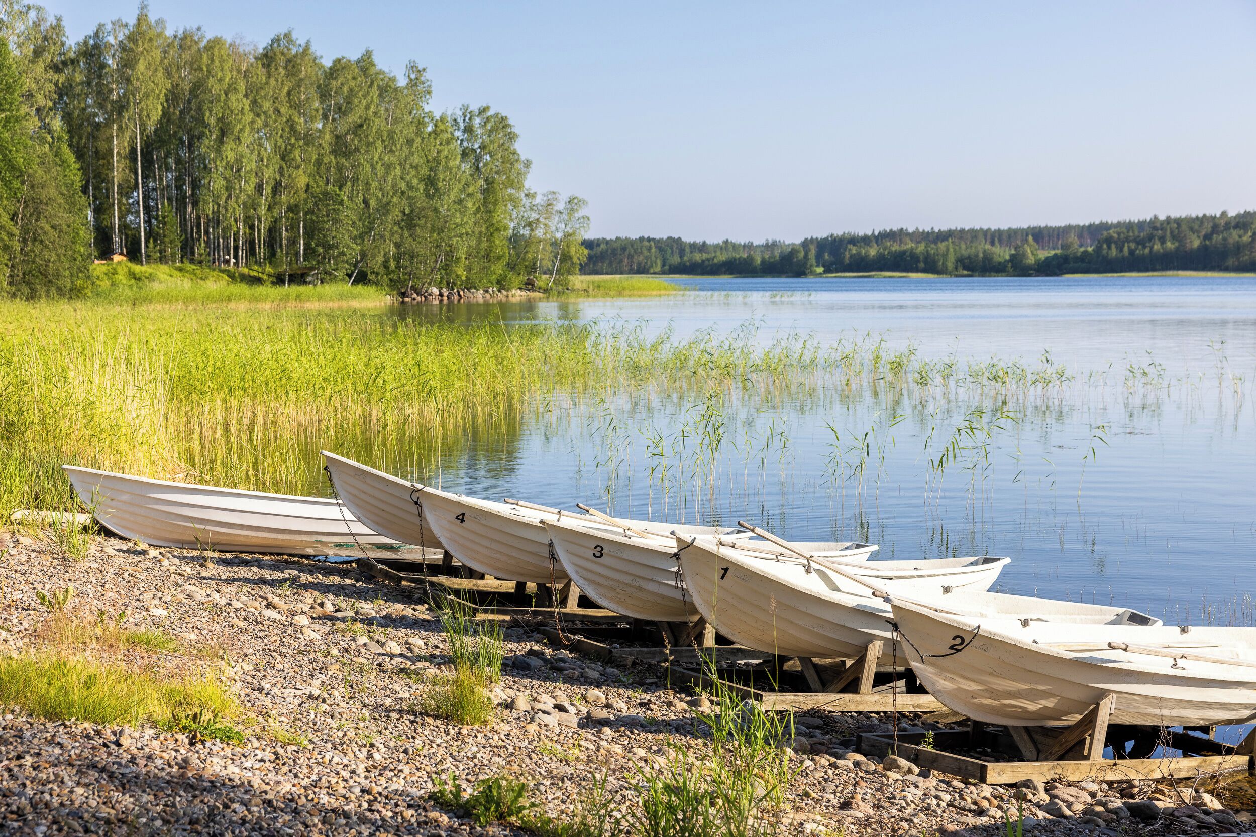 Une rangée de bateaux est amarrée à un quai en bois, au bord d’un lac paisible, avec une forêt en arrière-plan.