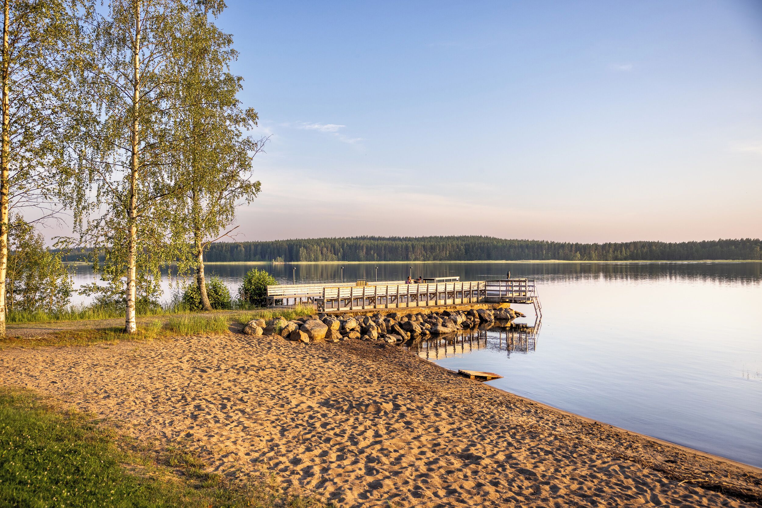 A lakeside scene with a wooden dock extending into calm water, surrounded by trees and a sandy shore.