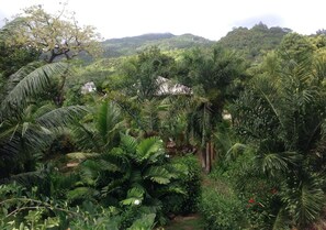 Property grounds - A Peace in Paradise (Mahé Island)