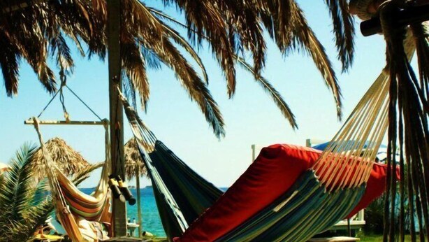 A hammock under a palm tree, a picnic table, and a speaker on a deck. - Alekos Beach Houses-Infinity (Kefalonia)