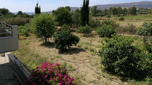 A garden with various plants and a view of the landscape. - Alekos Beach Houses-Angelo (Kefalonia)