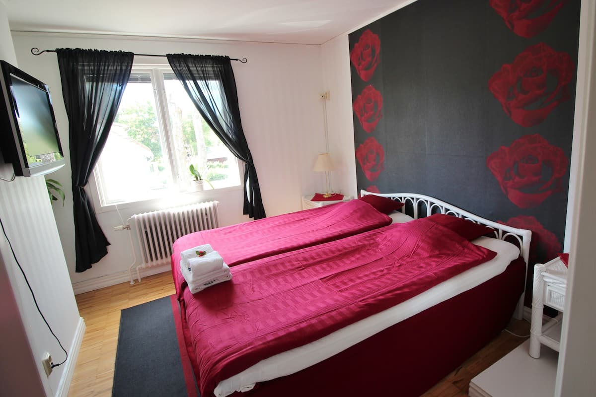 Une chambre à coucher avec un lit, un radiateur, une télévision et une fenêtre avec des rideaux.