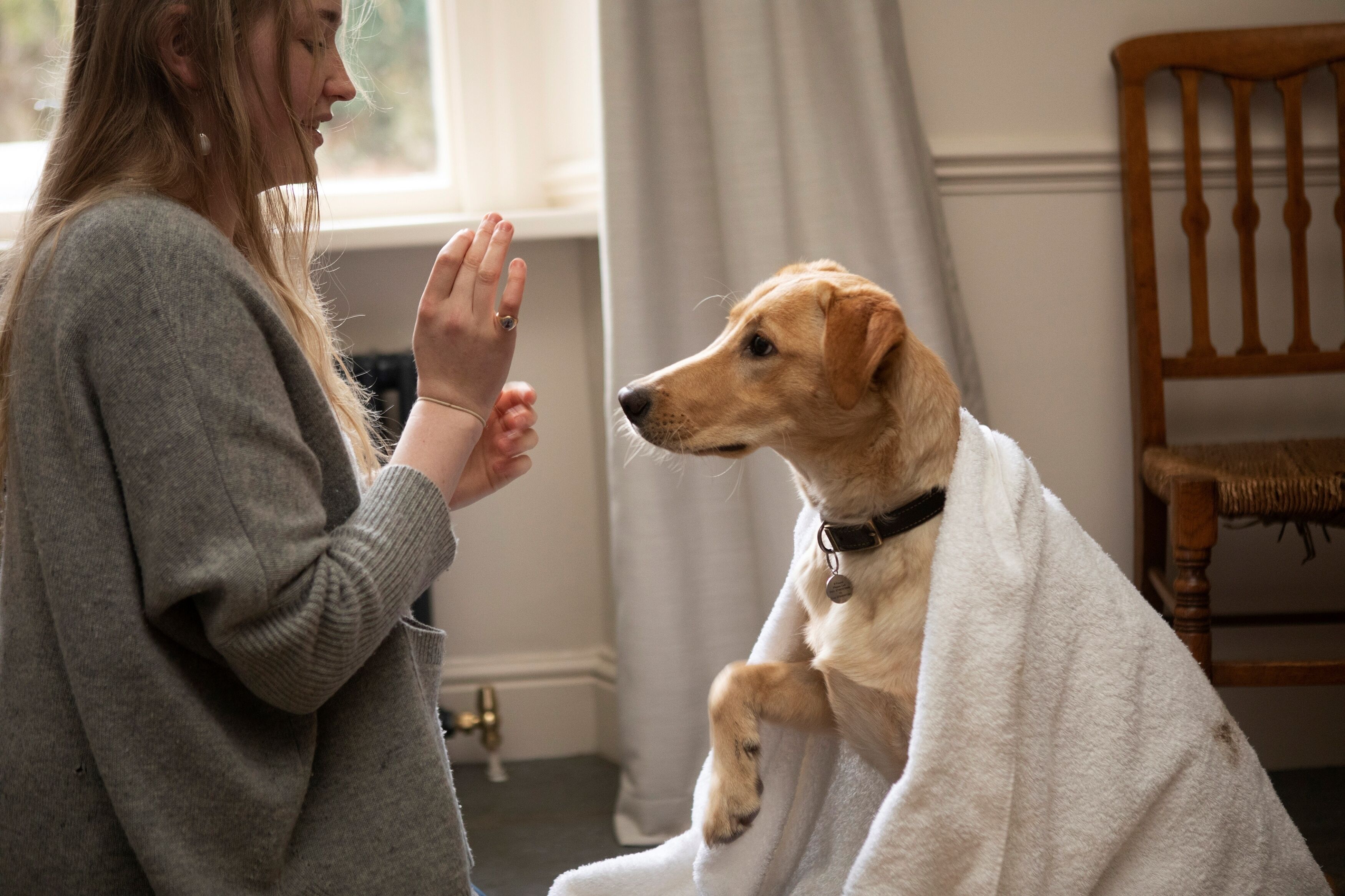 Foto - Victorian House