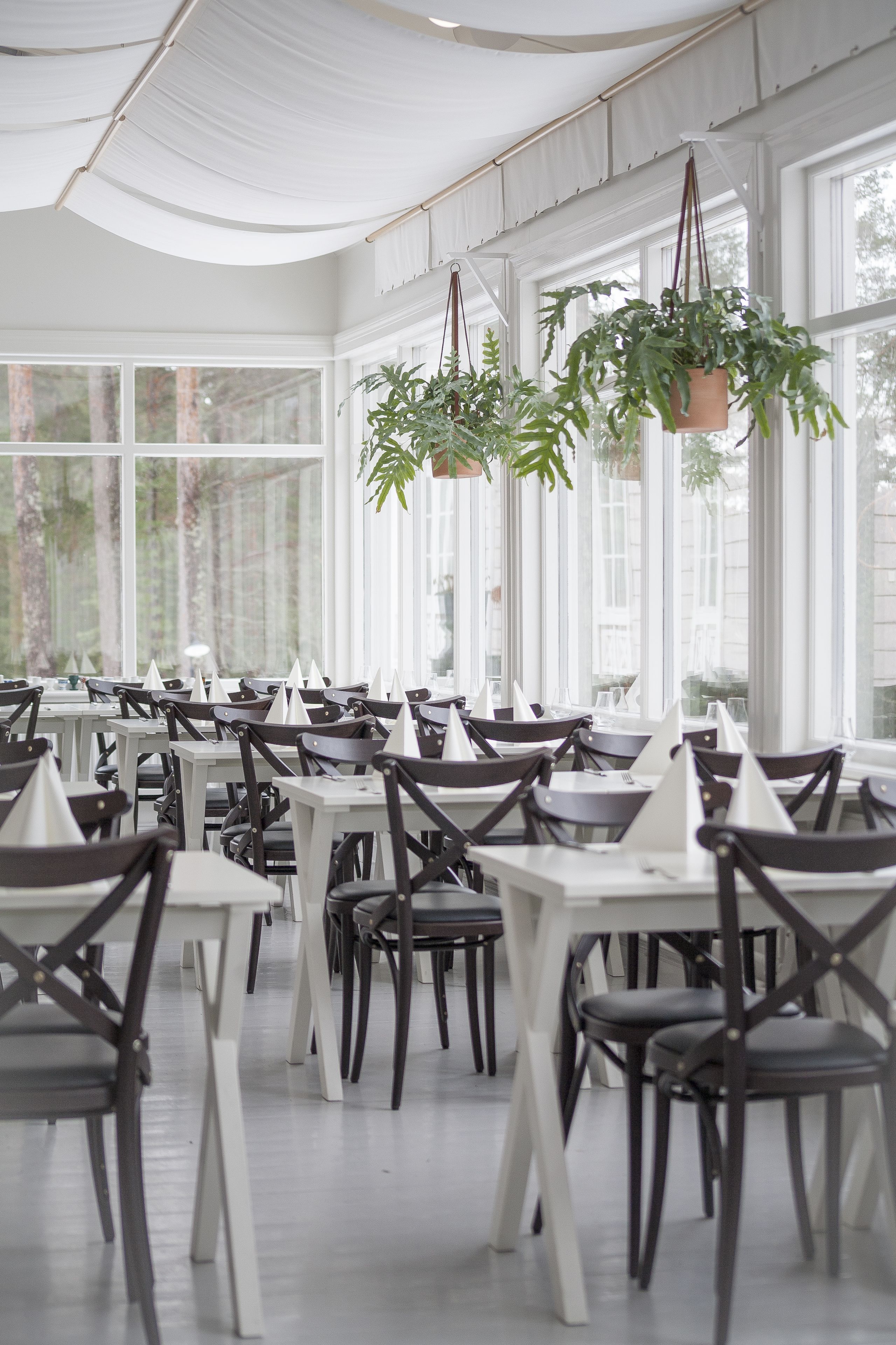 Phục vụ bữa trưa và bữa tối 