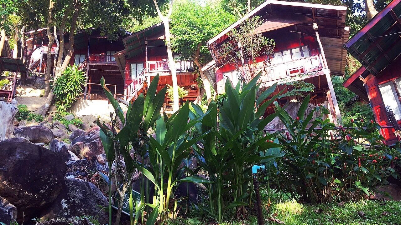 A traditional wooden house with a thatched roof, surrounded by lush greenery and rocks.