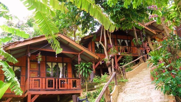 Une cabane en bois dotée d’un balcon, entourée d’une végétation luxuriante et accessible par un escalier en pierre.