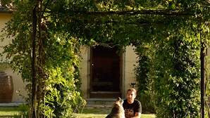 A pathway leading to a building entrance, surrounded by greenery and a dog. - Agrisalotto (Cortona)