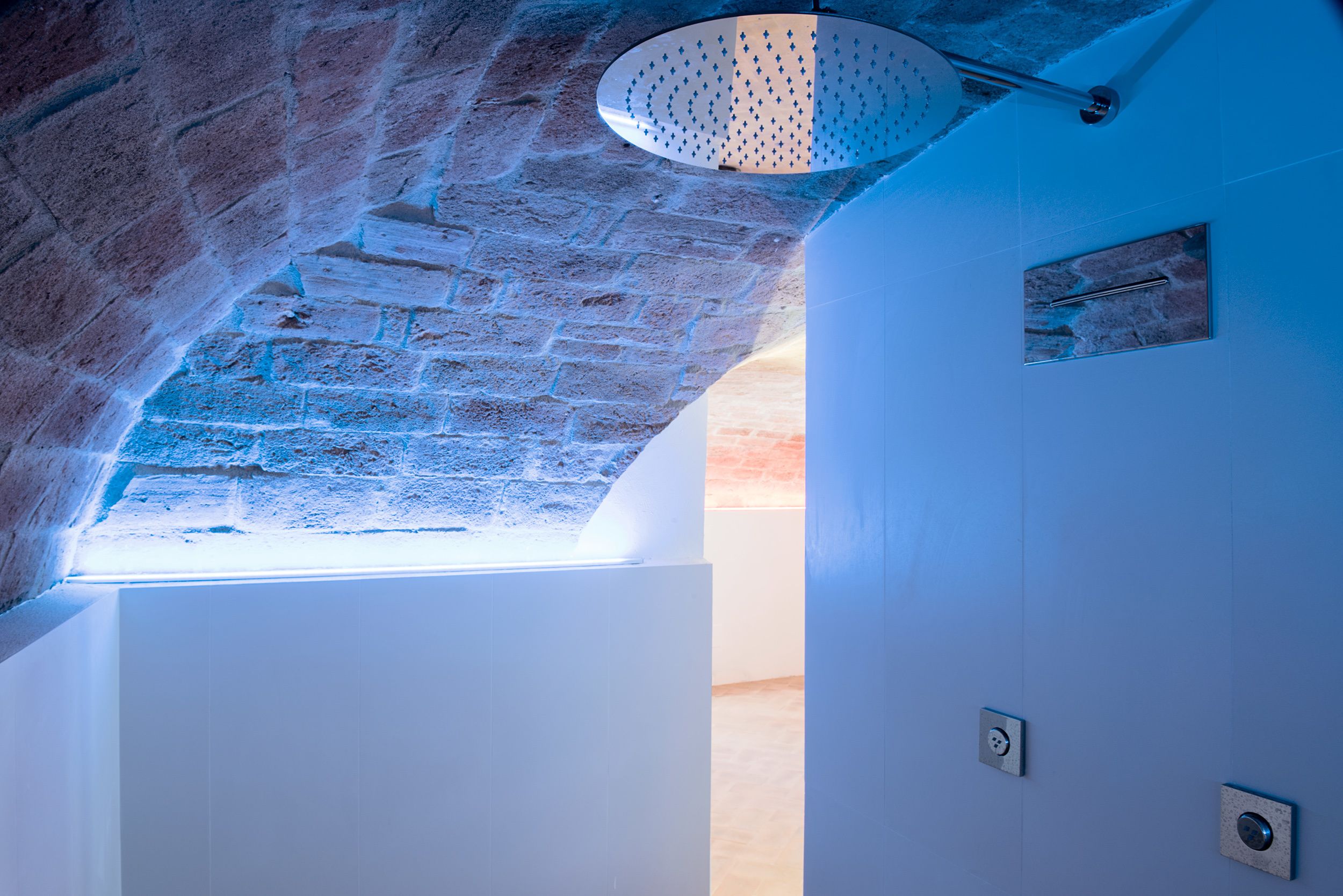 A room with exposed brick ceiling, a skylight, and a modern shower fixture.