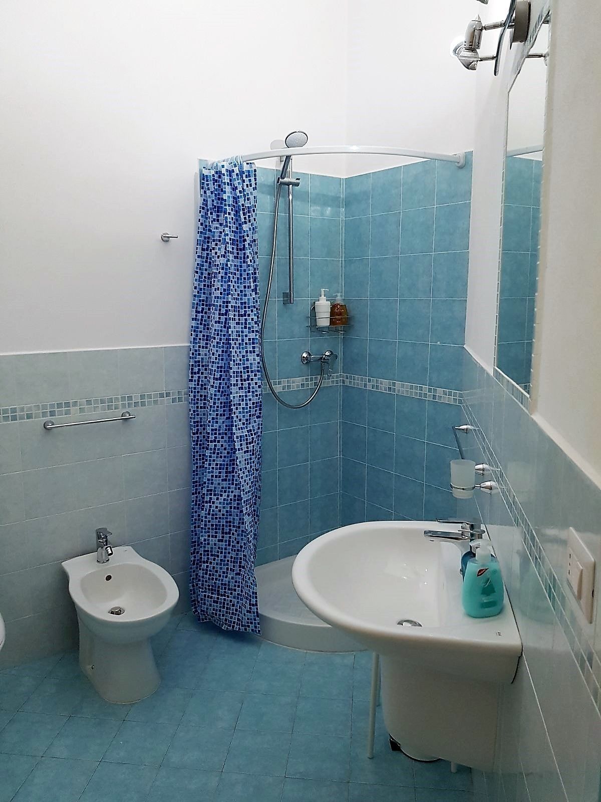 Une salle de bain avec douche, bidet et lavabo.