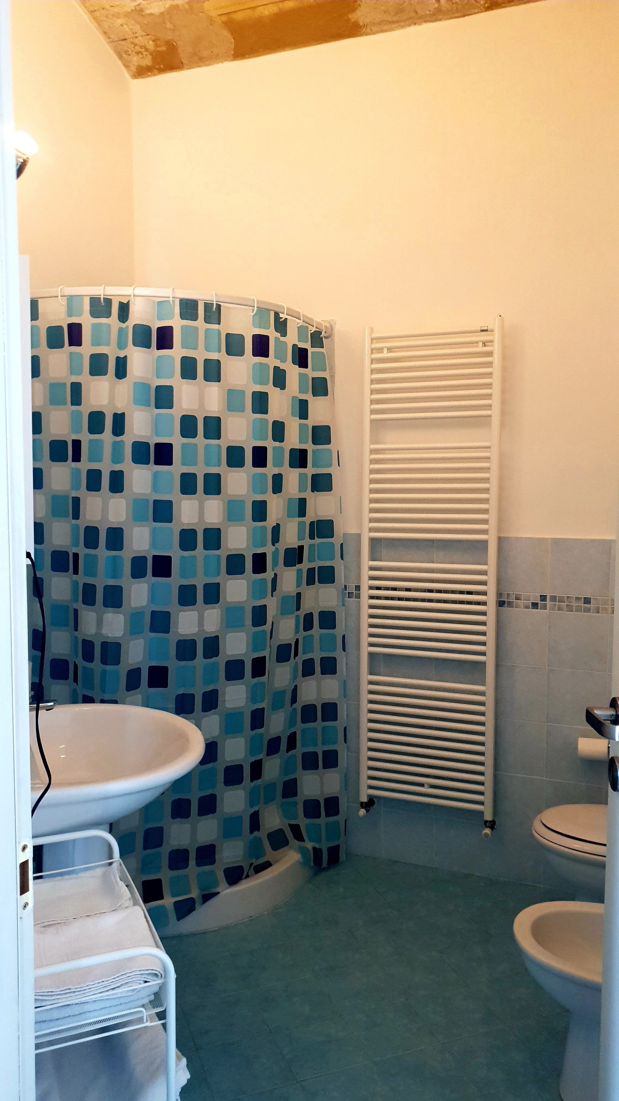 Un bagno con tenda doccia, lavandino, water e portasciuga.