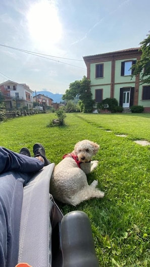 BBQ/picnic Area - La Fornace di Garessio (Garessio)