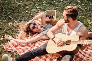 Een stel ligt op een geruit kleed in een grasveld, met een picknickmand vol fruit en een gitaar.