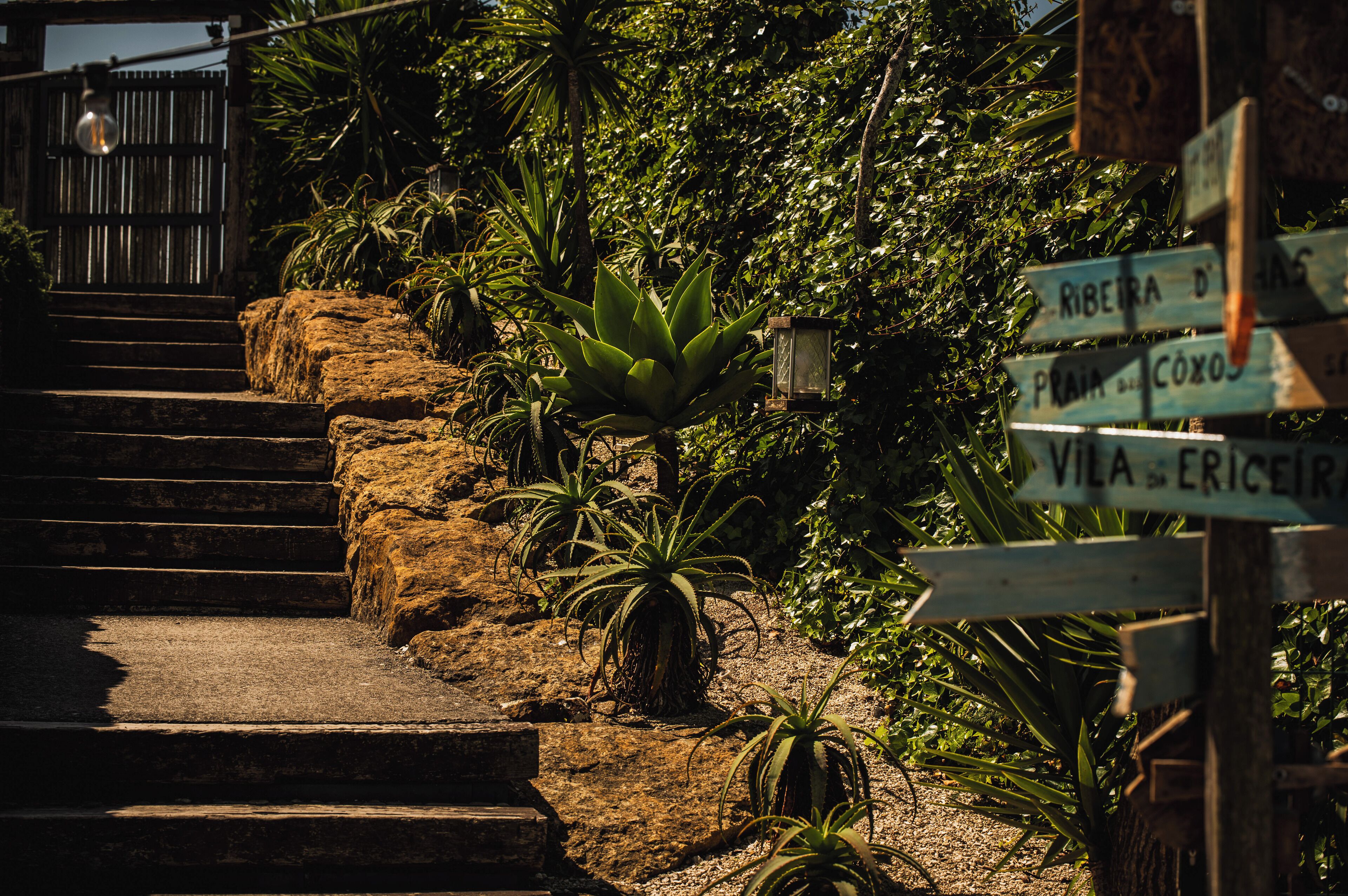 Foto - WOT Ericeira Surf Social