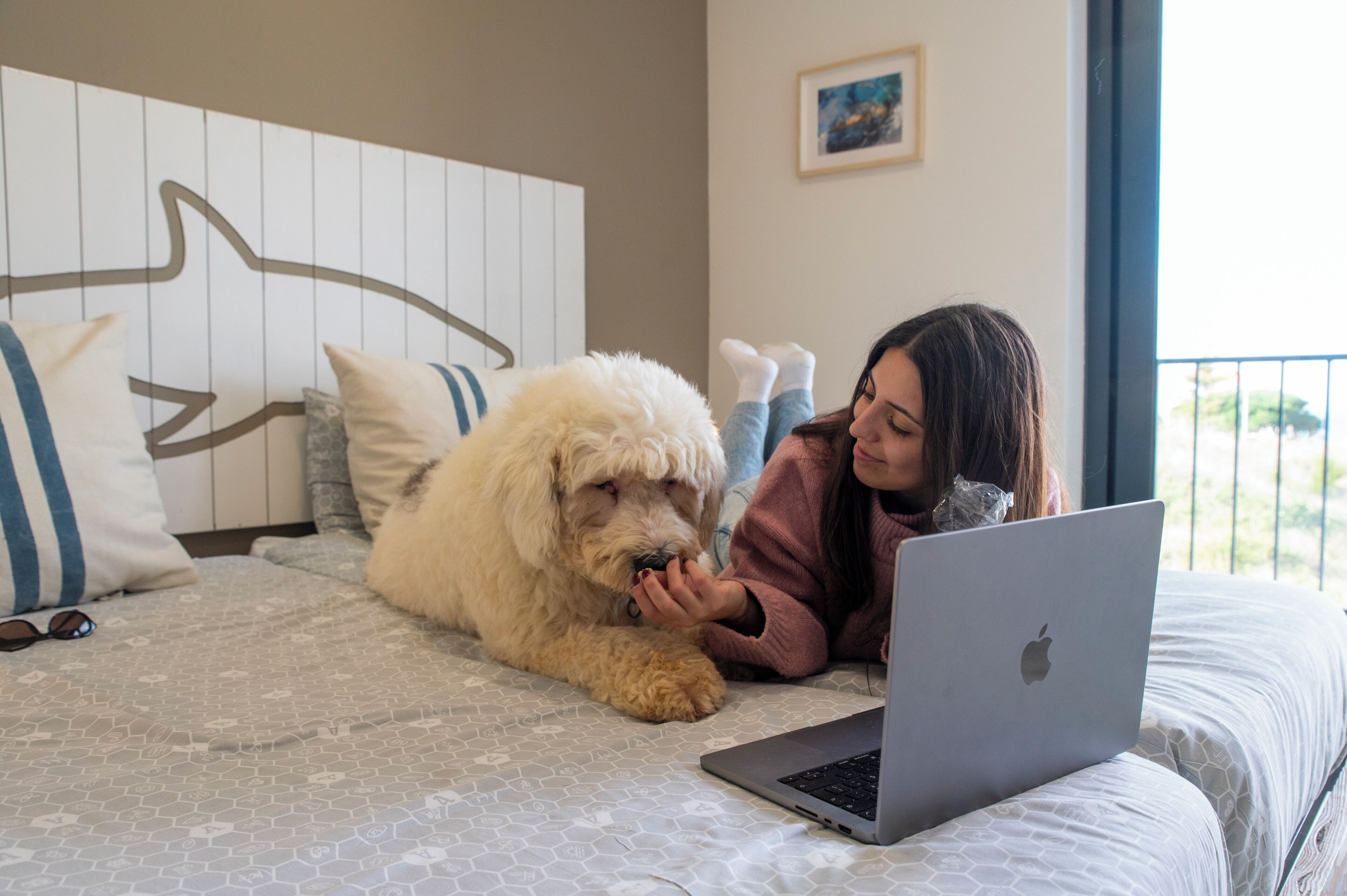 Una persona acostada en una cama con una computadora portátil, un perro blanco y esponjoso, y un cabecero con un diseño geométrico.
