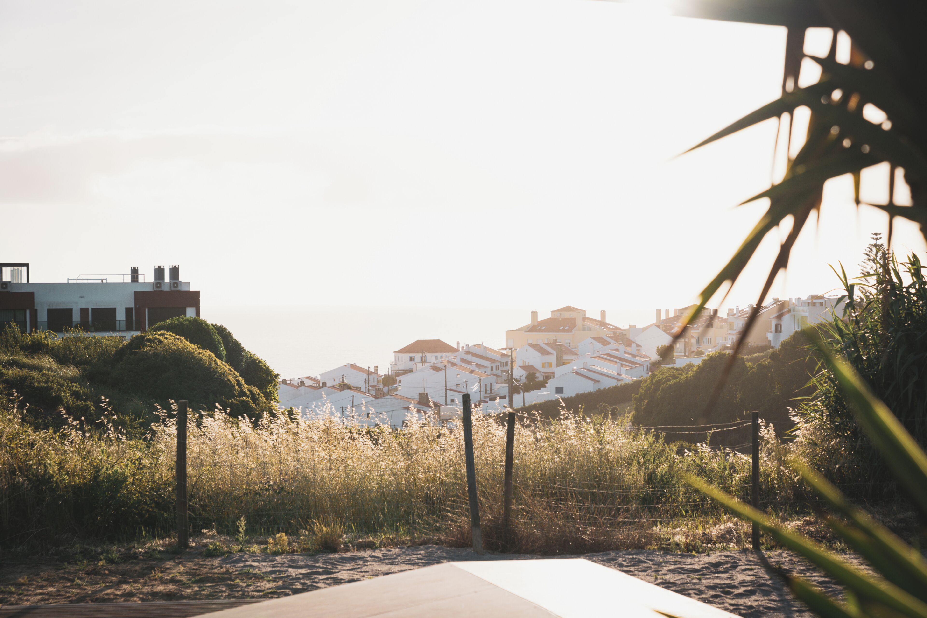 A coastal road with a pathway, vegetation, and buildings in the background.