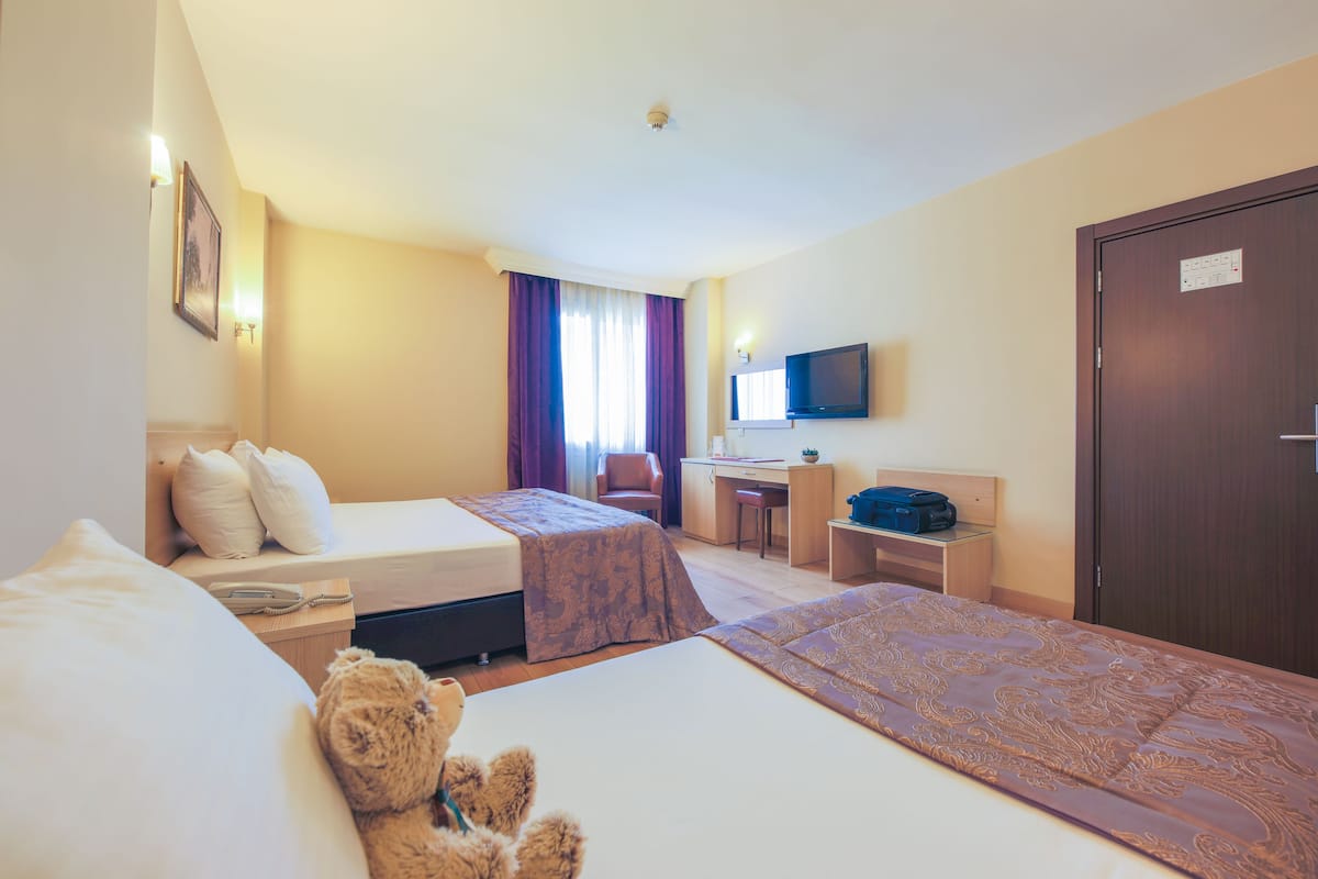 Chambre Familiale | Vue de la chambre