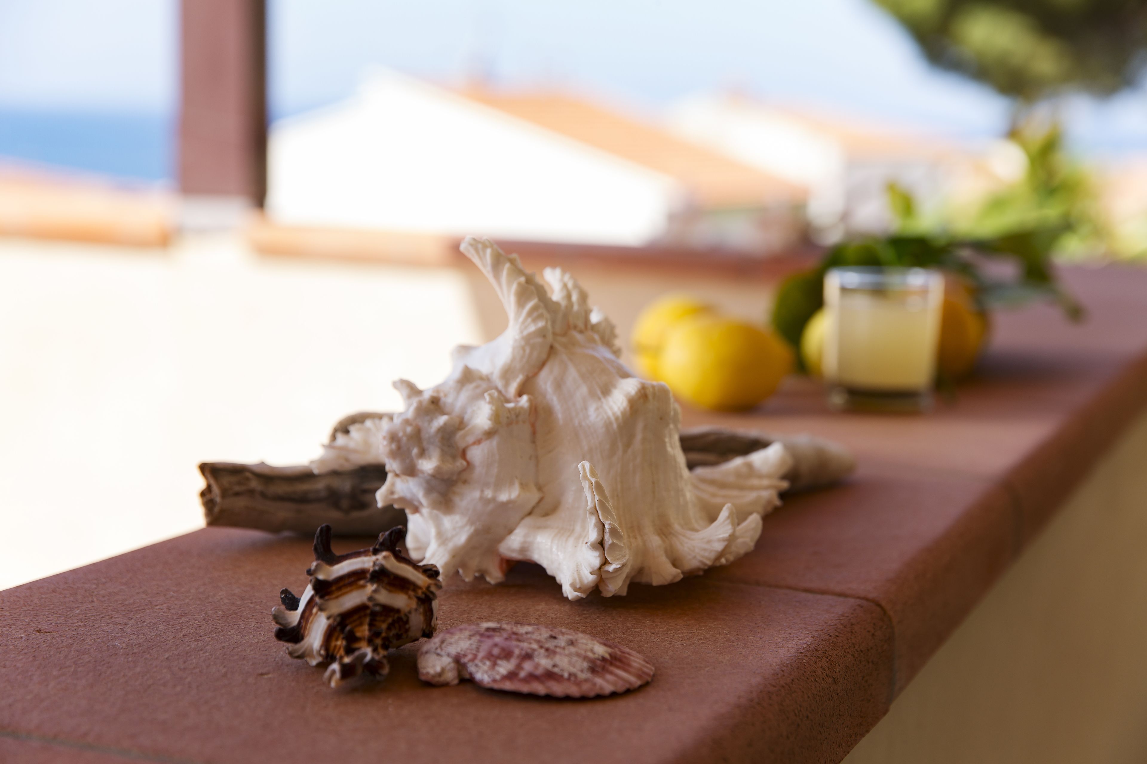 Foto - Hotel Corallo