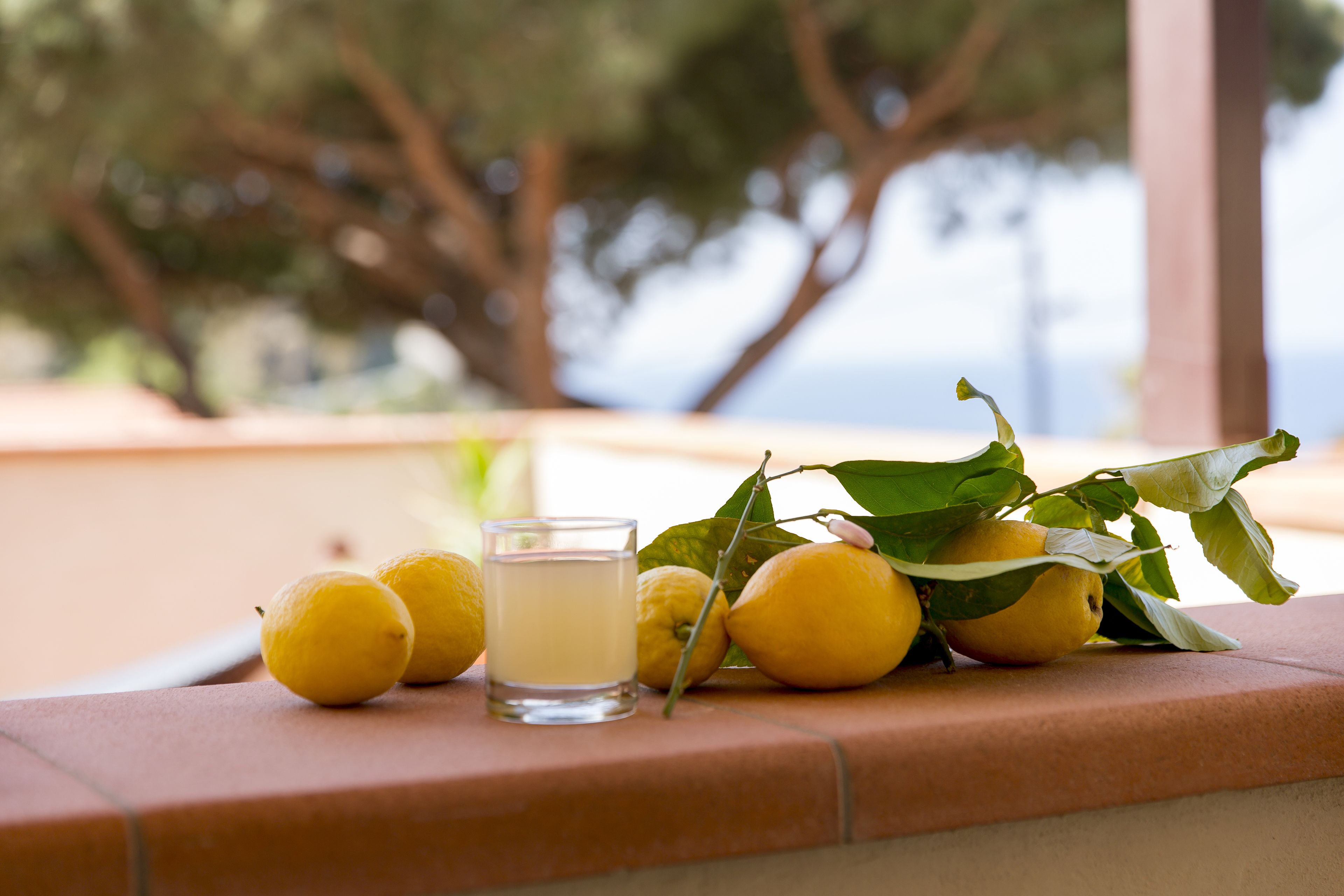 Foto - Hotel Corallo