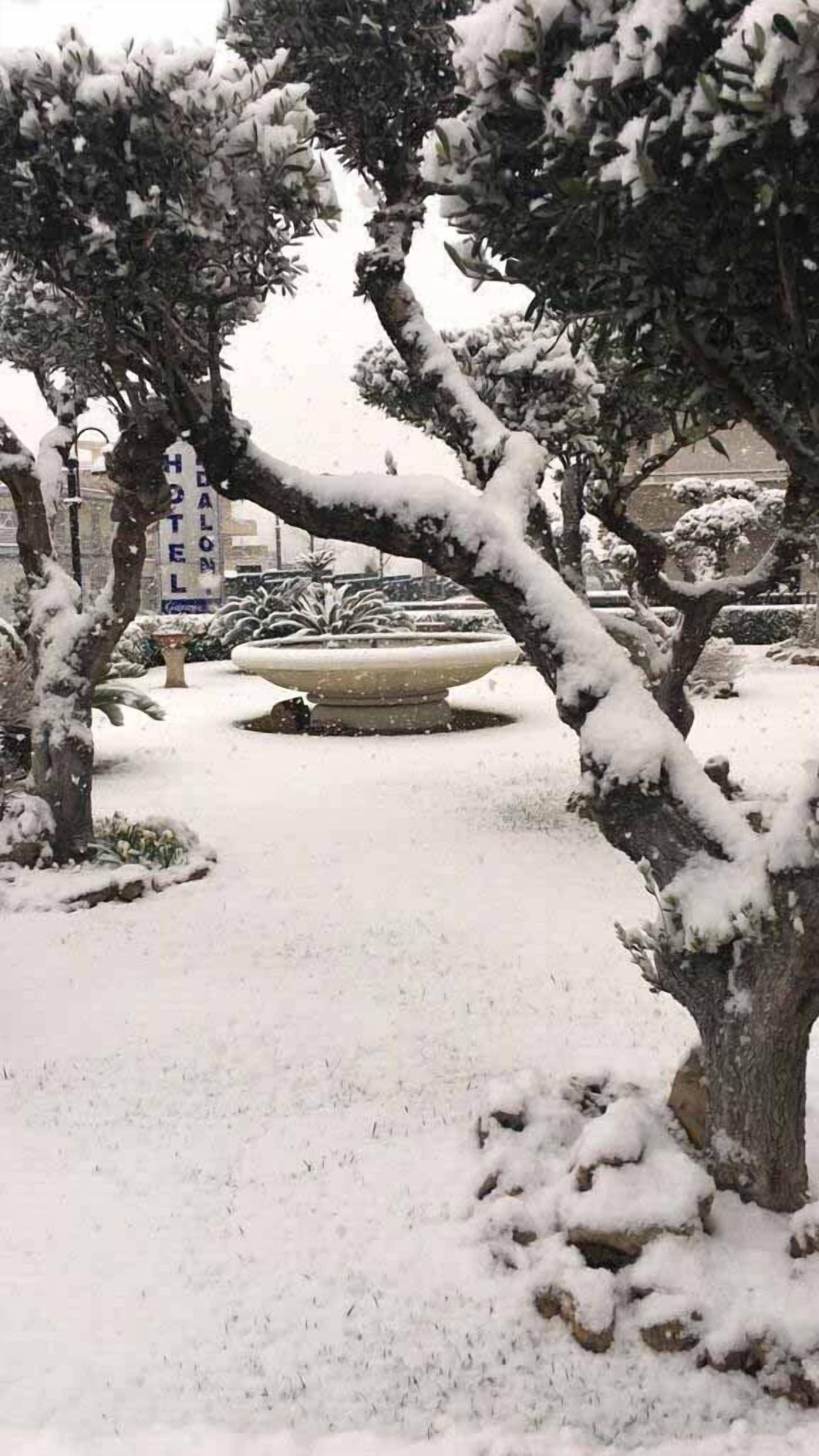 Un giardino innevato con una fontana, alberi e un cartello di un albergo sullo sfondo.