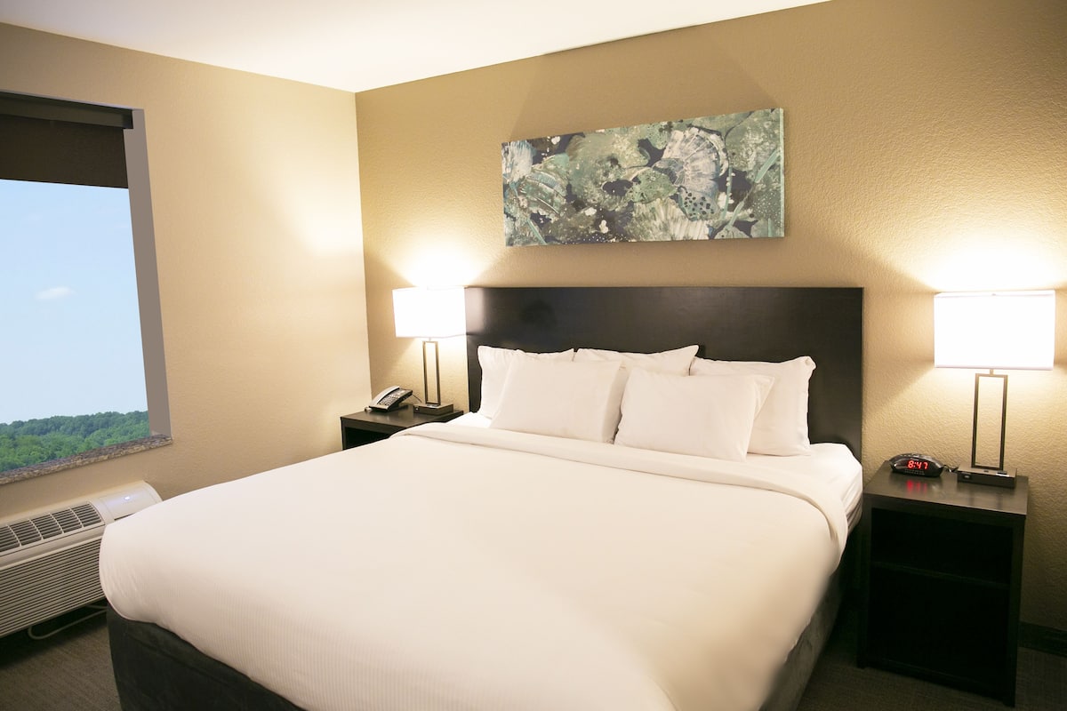 Habitación de hotel con una cama grande, dos mesitas de noche con lámparas, una obra de arte en la pared y una ventana con vista a zonas verdes.