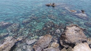 Vista despejada de una costa rocosa con agua tranquila y formaciones submarinas visibles.