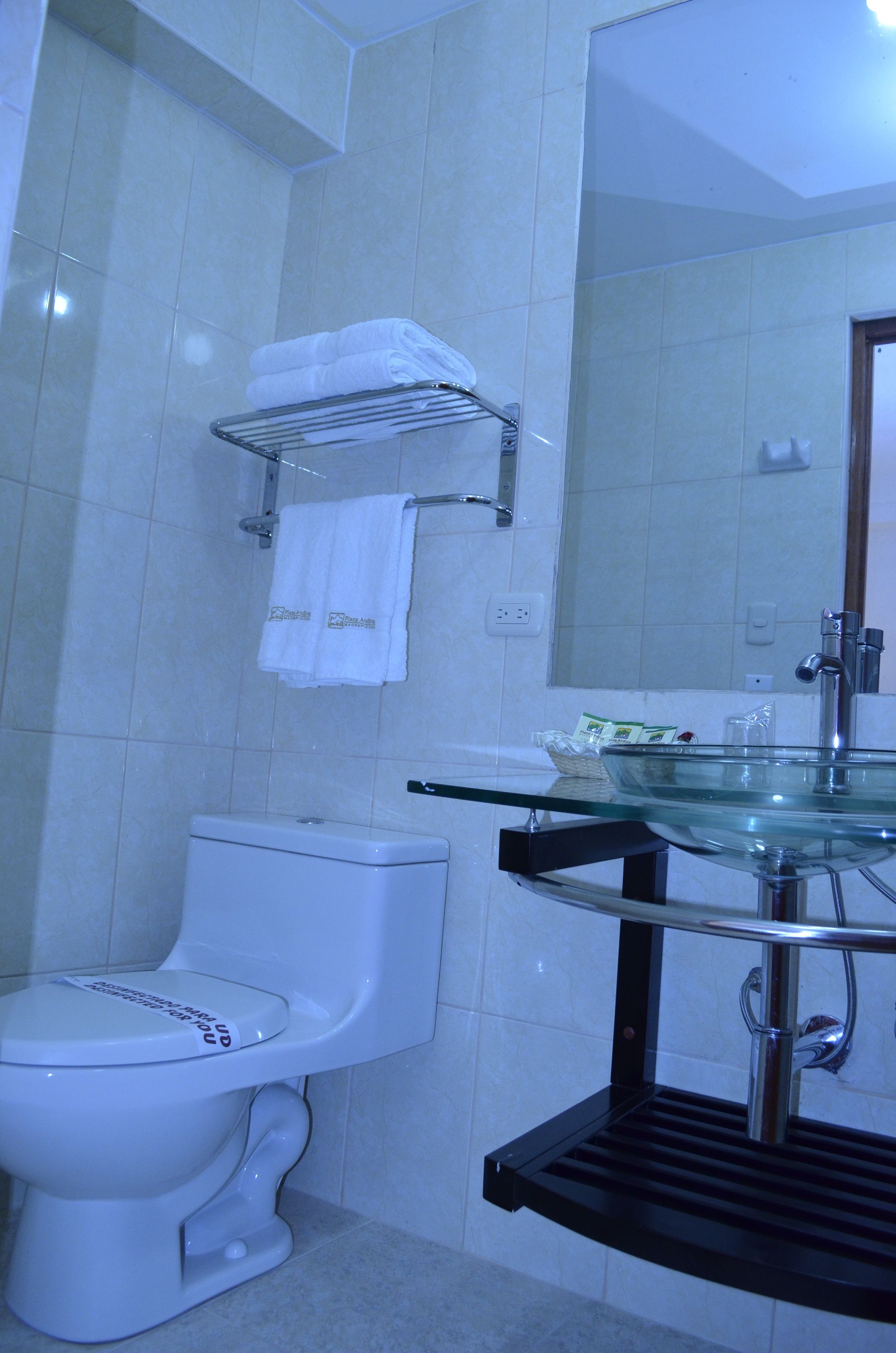 A bathroom with a toilet, a glass sink, and a towel rack.