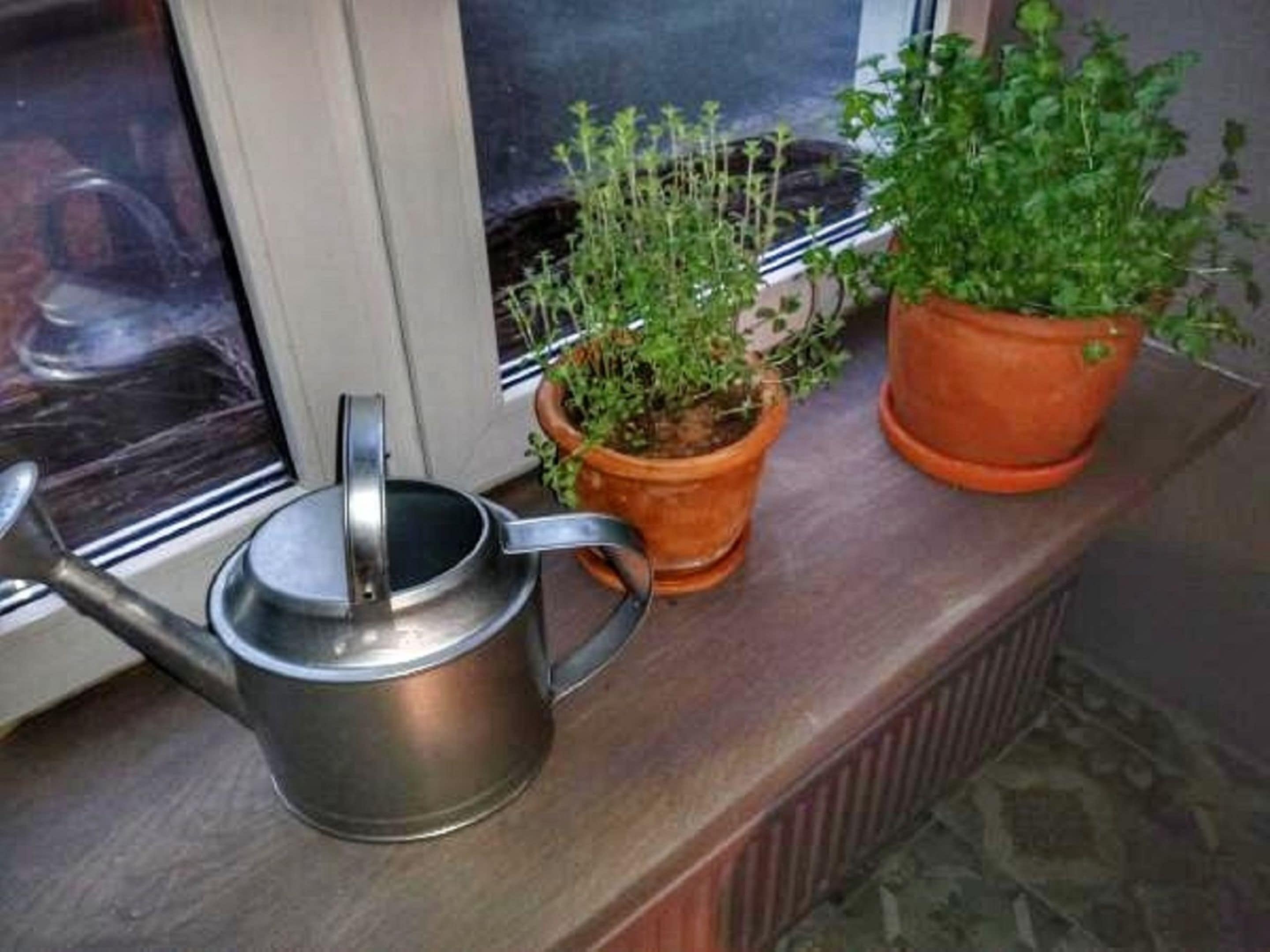 daily cooked-to-order breakfast (pln 40 per person)