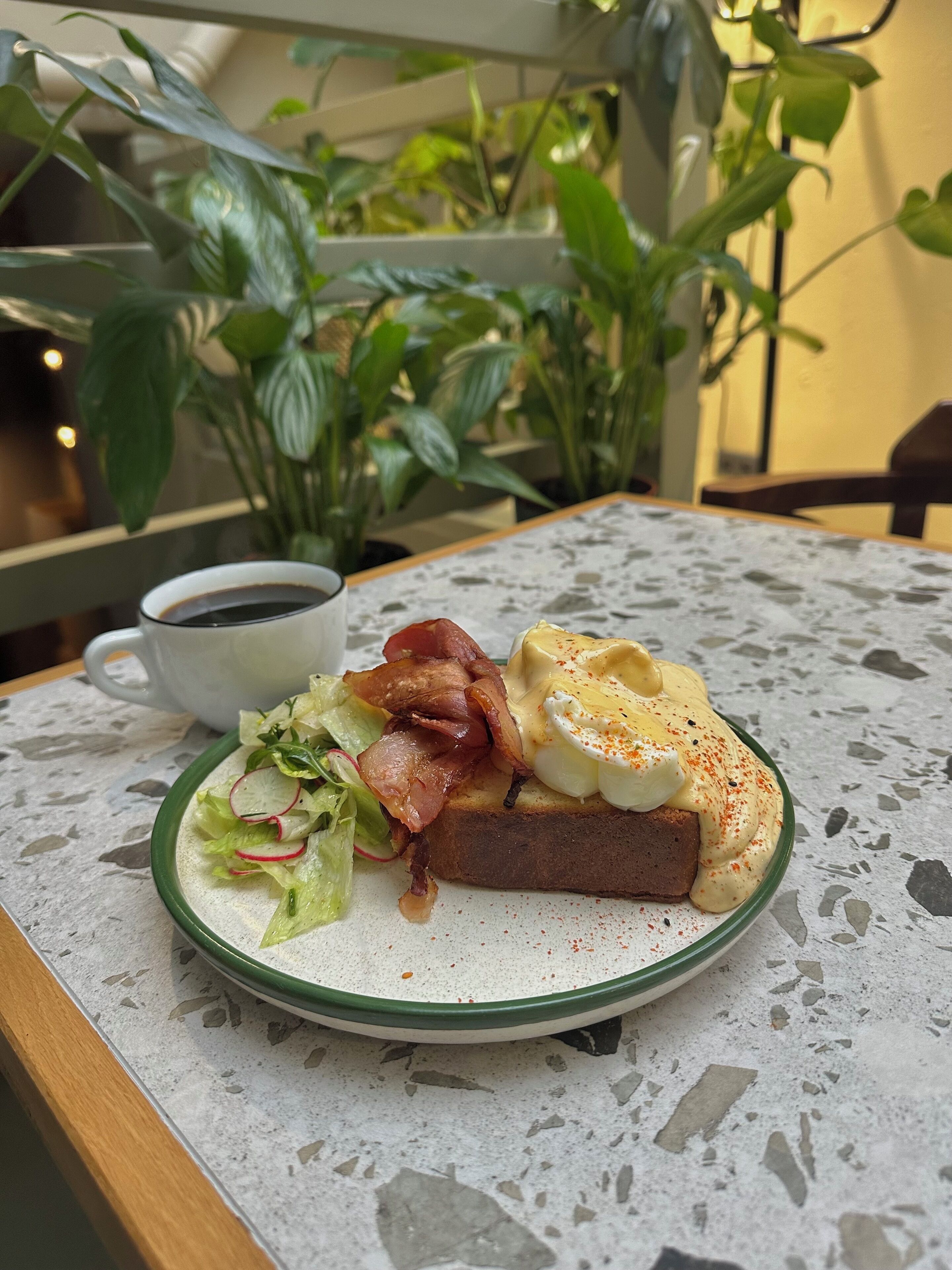 Foto - Shalom Kazimierz