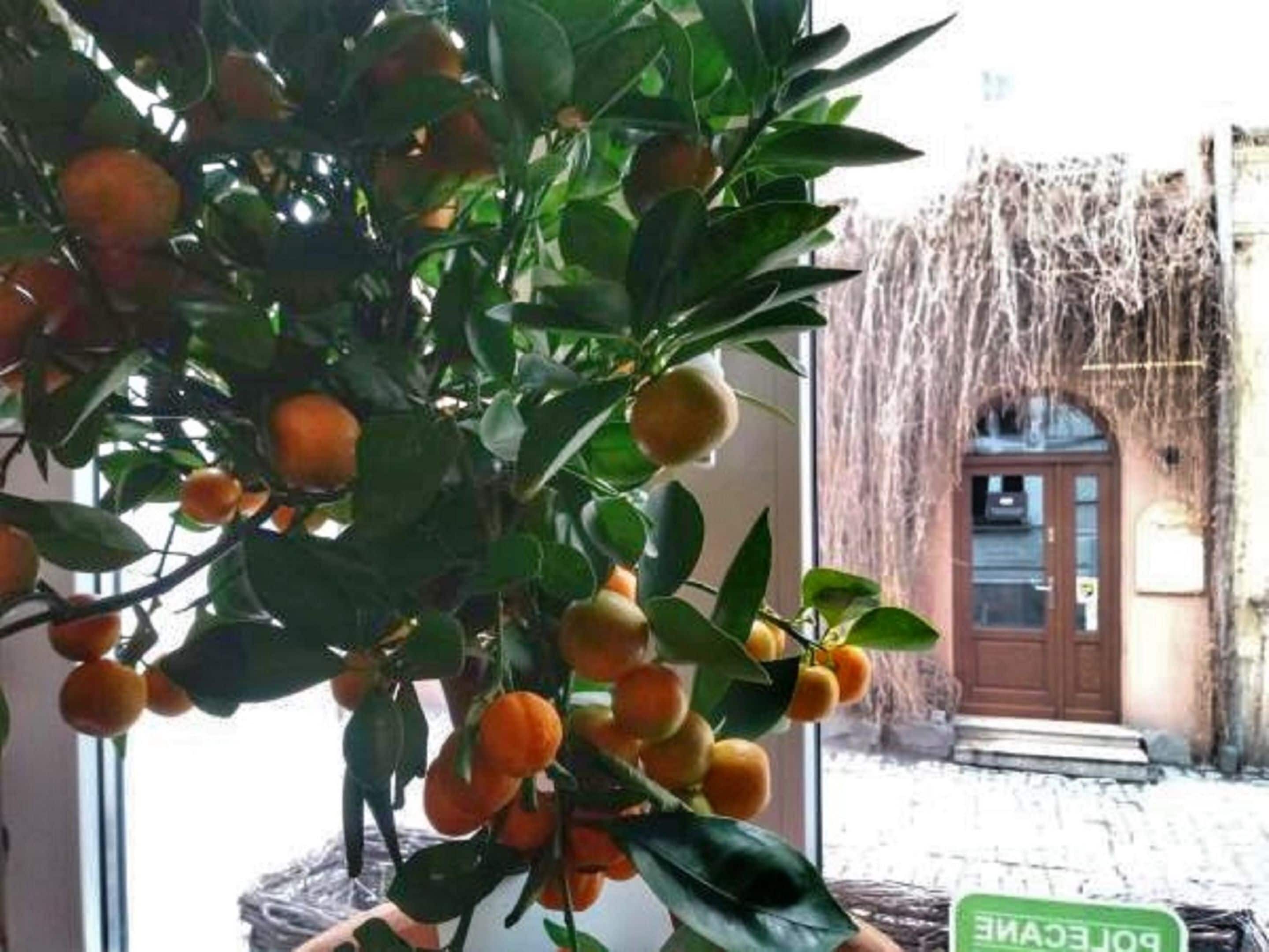 daily cooked-to-order breakfast (pln 40 per person)