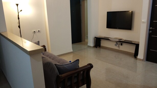 평면 TV