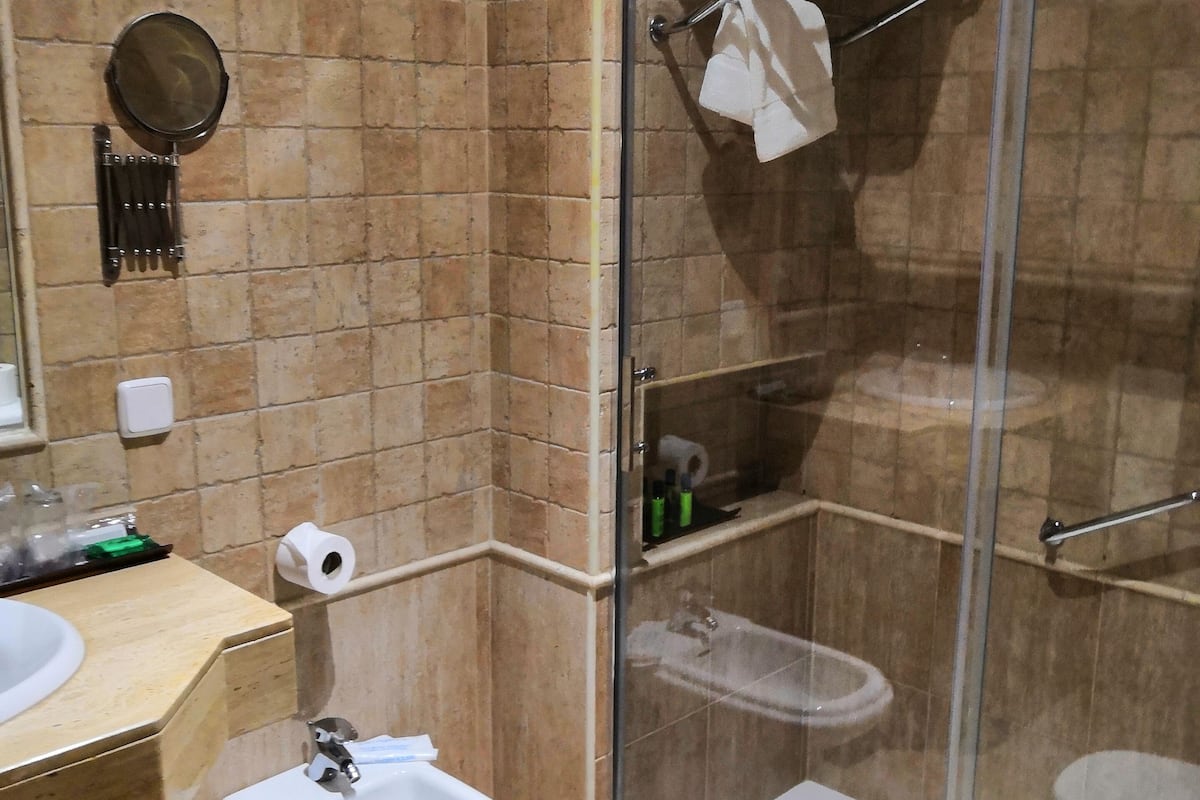 free toiletries, hair dryer, bidet, towels